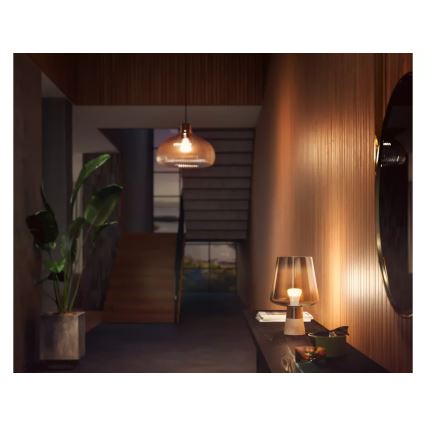 Ampoule LED dimmable Philips Hue WHITE E27/13,5W/230V 2700K