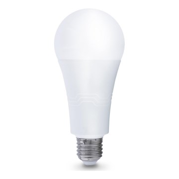 Ampoule LED E27/22W/230V 3000K