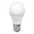 Ampoule LED ECOLINE A60 E27/10W/230V 3000K IRC 92 - Brilagi