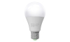 Ampoule LED ECOLINE A65 E27/15W/230V 6500K - Brilagi