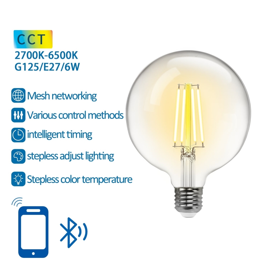 Ampoule à intensité variable LED FILAMENT MESH Smart G125 E27/6W/230V 2700-6500K - Aigostar