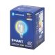 Ampoule LED FILAMENT G125 E27/6W/230V 2700-6500K - Aigostar