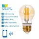 Ampoule LED FILAMENT G45 E27/4,5W/230V 2700-6500K - Aigostar