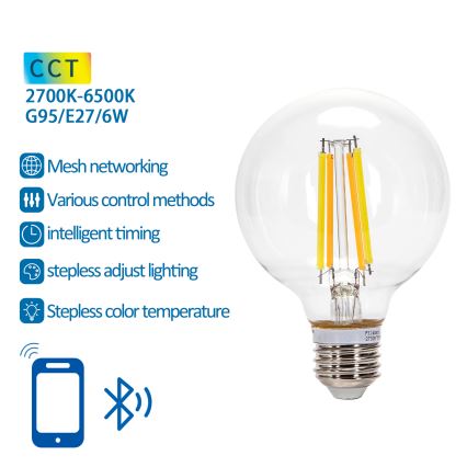 Ampoule LED FILAMENT G95 E27/6W/230V 2700-6500K - Aigostar