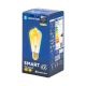 Ampoule LED FILAMENT ST64 E27/6W/230V 2700-6500K - Aigostar