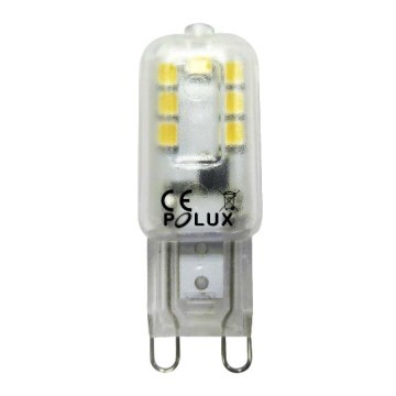 LOT 3x Ampoule LED G9/2,5W/230V 3000K