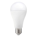 Ampoule LED GS E27/17W/230V 3000K