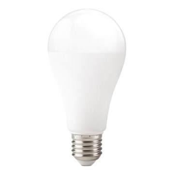 Ampoule LED GS E27/22W/230V 6500K