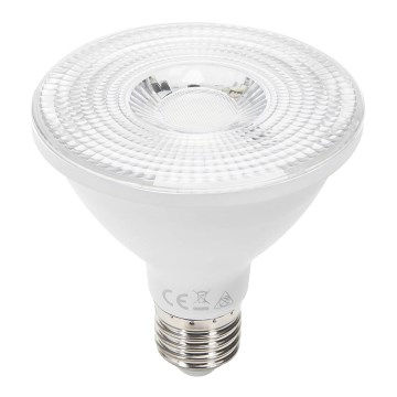 Ampoule LED PAR30 E27/12W/230V 6500K - Aigostar