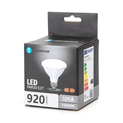 Ampoule LED PAR30 E27/12W/230V 6500K - Aigostar