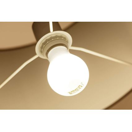 Ampoule LED Philips E27/4,5W/230V 2700K
