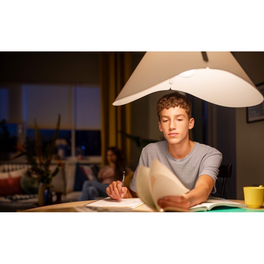 Ampoule LED Philips E27/4,5W/230V 2700K