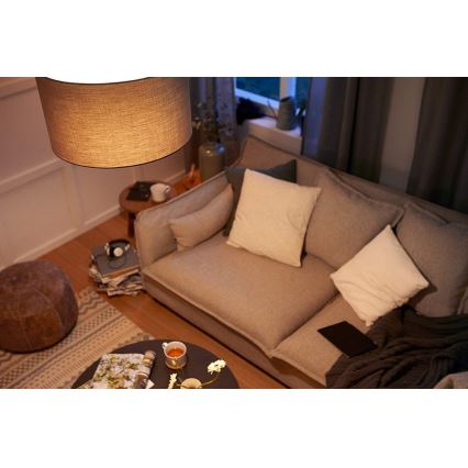 Ampoule LED Philips E27/4,5W/230V 2700K