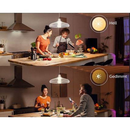 Ampoule LED Philips Hue WHITE E67 E27/15,5W/230V