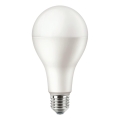 Ampoule LED Philips Pila E27/23W/230V 2700K