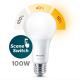 Ampoule LED Philips SCENE SWITCH A67 E27/14W/230V 2200K-2700K
