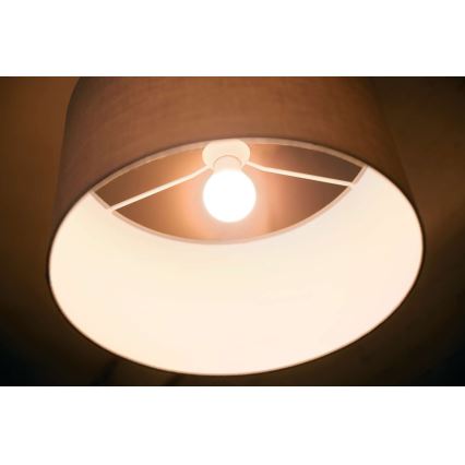 Ampoule LED Philips SCENE SWITCH A67 E27/14W/230V 2700/4000K
