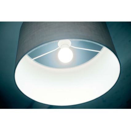 Ampoule LED Philips SCENE SWITCH A67 E27/14W/230V 2700/4000K