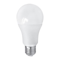 Ampoule LED PITT A60 E27/15W/230V 4000K