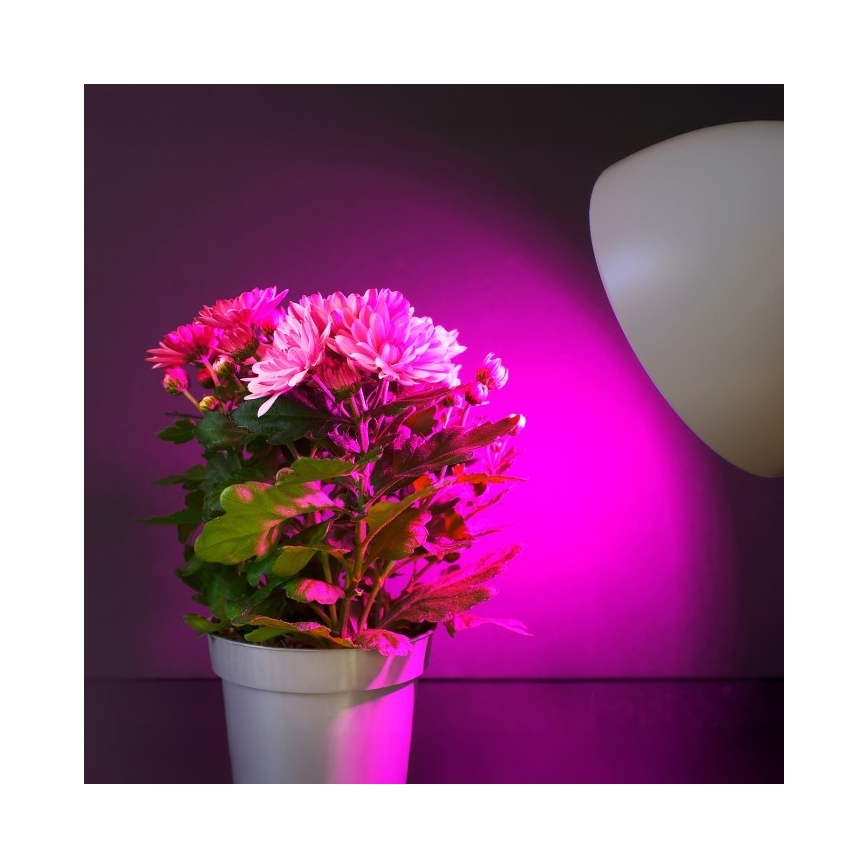 Ampoule LED pour la croissance des plantes PLANTY E27/11W/230V 1200K blanc