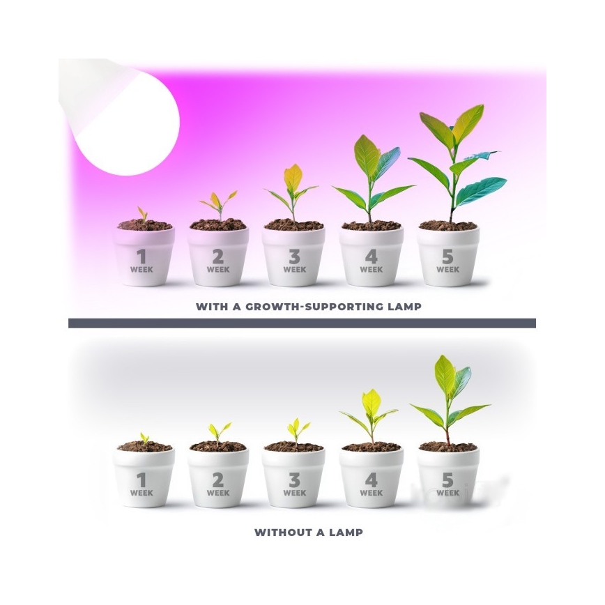 Ampoule LED pour la croissance des plantes PLANTY E27/11W/230V 1200K blanc