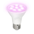 Ampoule LED pour la croissance des plantes PLANTY E27/7W/230V 1200K blanc