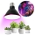 Ampoule LED pour la croissance des plantes PLANTY E27/9W/230V 1200K noir