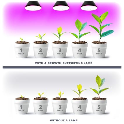 Ampoule LED pour la croissance des plantes PLANTY E27/9W/230V 1200K noir