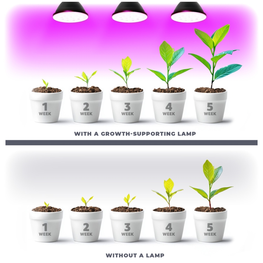 Ampoule LED pour la croissance des plantes PLANTY E27/9W/230V 1200K noir