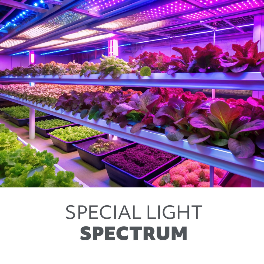 Ampoule LED pour la croissance des plantes PLANTY E27/9W/230V 1200K noir