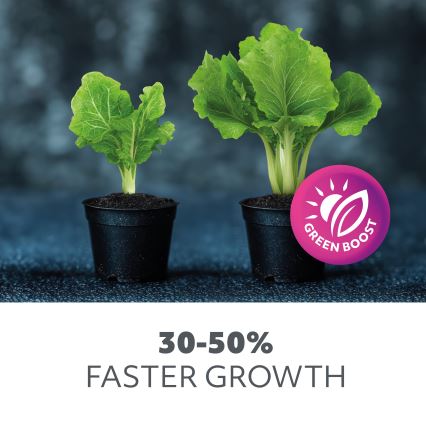 Ampoule LED pour la croissance des plantes PLANTY E27/9W/230V 1200K noir