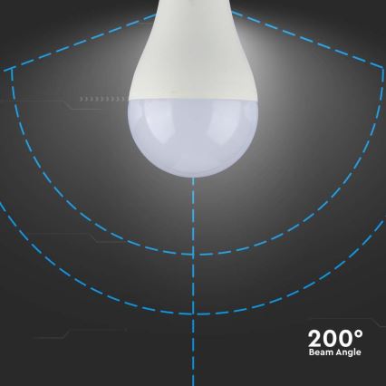Ampoule LED SAMSUNG CHIP A65 E27/15W/230V 6500K