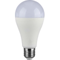Ampoule LED SAMSUNG CHIP A65 E27/17W/230V 3000K