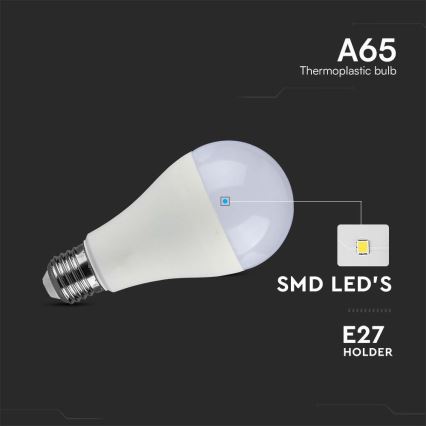 Ampoule LED SAMSUNG CHIP A65 E27/17W/230V 3000K