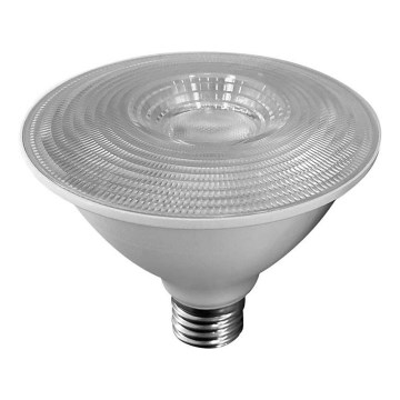 Ampoule LED SAMSUNG CHIP PAR30 E27/11W/230V 6500K