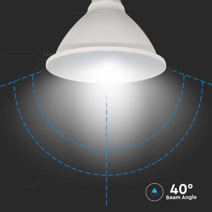 Ampoule LED SAMSUNG CHIP PAR30 E27/11W/230V 6500K