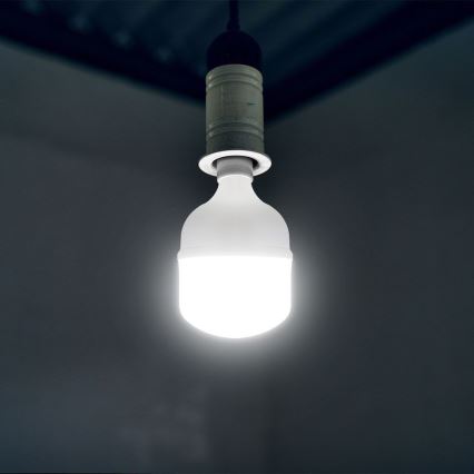 Ampoule LED T120 E27/40W/230V 6500K