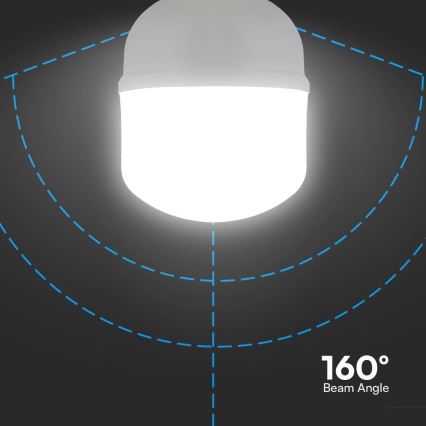 Ampoule LED T120 E27/40W/230V 6500K