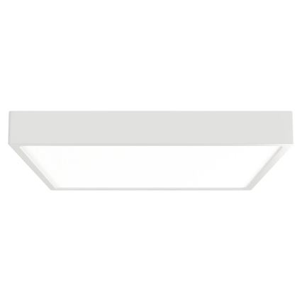 APLED - Plafonnier SQUARE LED/30W/230V 22x22 cm blanc