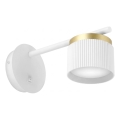 Applique murale 1xGX53/35W/230V blanc/doré
