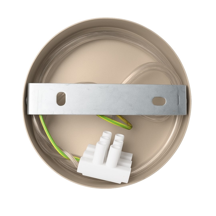 Applique murale CAPITAL 1xGX53/15W/230V beige