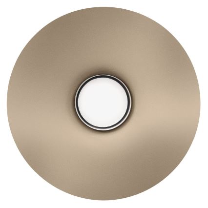 Applique murale CAPITAL 1xGX53/15W/230V taupe