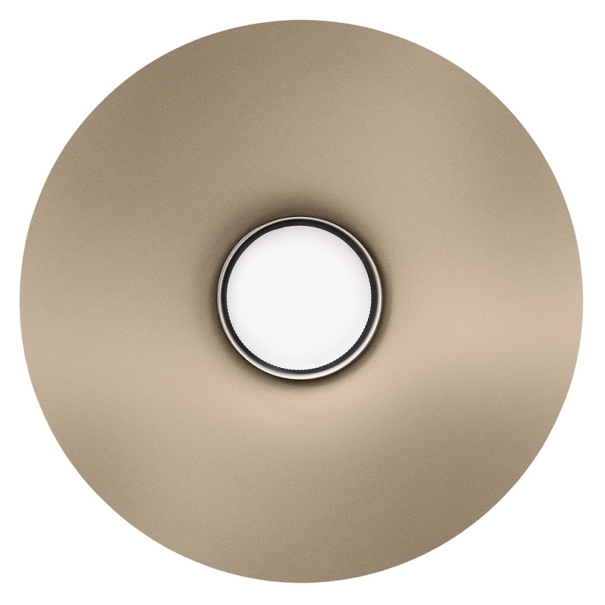 Applique murale CAPITAL 1xGX53/15W/230V taupe