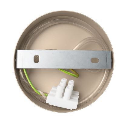 Applique murale CAPITAL 1xGX53/15W/230V taupe