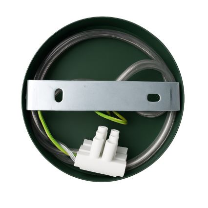 Applique murale CAPITAL 1xGX53/15W/230V verte