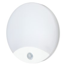 Applique murale de salle de bains avec détecteur ORBIS LED/10W/230V IP44