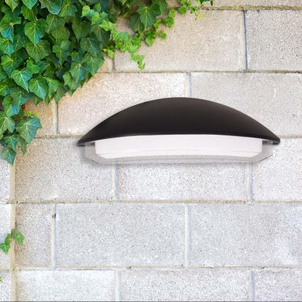 Applique murale d'extérieur ALABAMA LED/12W/230V IP54 noire