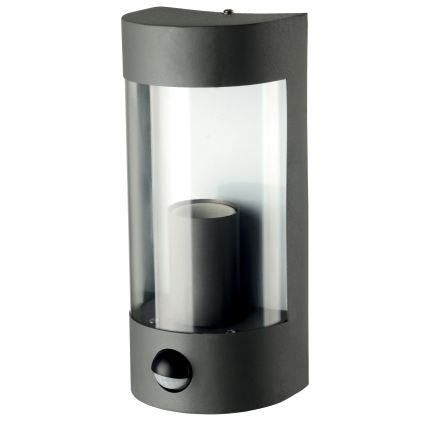 Applique murale d'extérieur avec détecteur de mouvement 1xE27/15W/230V IP44 noire