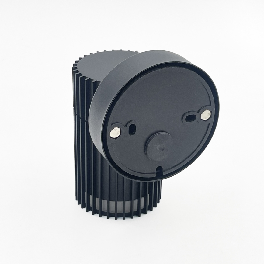 Applique murale d'extérieur LANTHEA 1xGU10/11W/230V IP44 noire