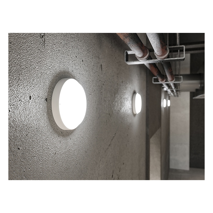 Applique murale d'extérieur LED 18 W, 230 V, IP54, blanche